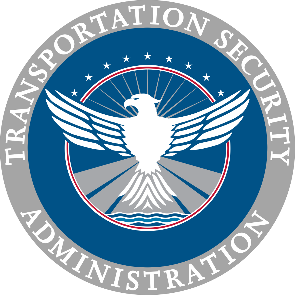 A white stylized eagle spreads wings, centered on a blue circular TSA seal with radiating runway-like beams, stars and wavy lines, surrounded by a gray ring reading "Transportation Security Administration."